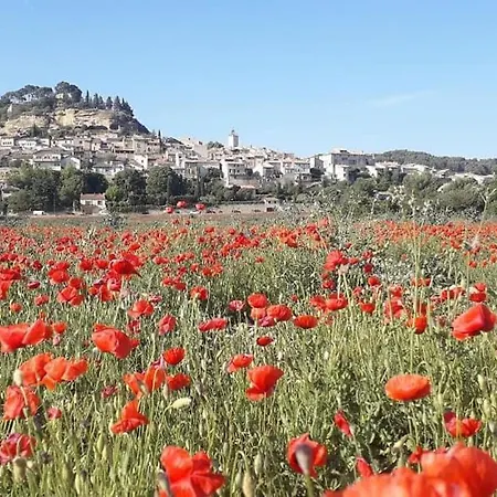 Appartement L'amanderaie à Côté De Lourmarin En Luberon Cadenet